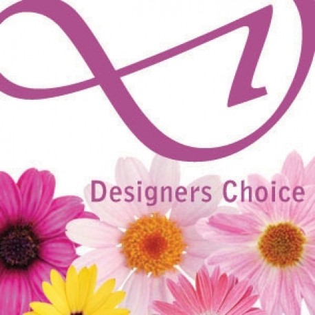 Designers Choice