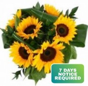 SOLD OUT - Simply Sunflowers