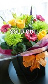 SOLD OUT - A Splash of Colour