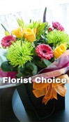 A Splash of Colour