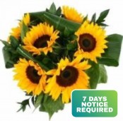 Simply Sunflowers