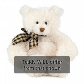 Cute Teddy